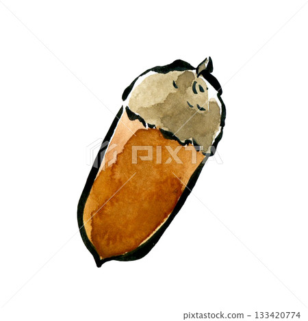 Acorns drawn with a brush pen and transparent watercolor Acorns drawn with a brush pen and transparent watercolor 133420774