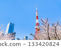 東京鐵塔和櫻花芝公園 133420824