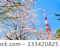 東京鐵塔和櫻花芝公園 133420825