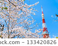 東京鐵塔和櫻花芝公園 133420826