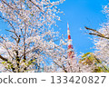 東京鐵塔和櫻花芝公園 133420827