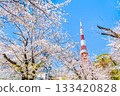 東京鐵塔和櫻花芝公園 133420828