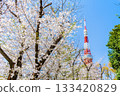 東京鐵塔和櫻花芝公園 133420829