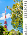 東京鐵塔和櫻花芝公園 133420831