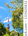 東京鐵塔和櫻花芝公園 133420832