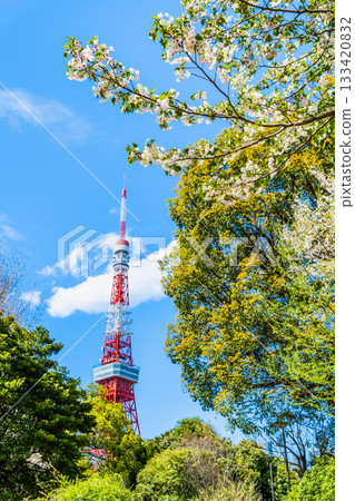 東京鐵塔和櫻花芝公園 133420832