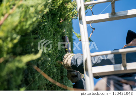 pruning, gents, male 133421048