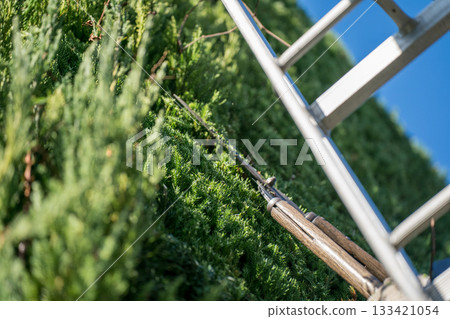 修剪 男人 男 133421054