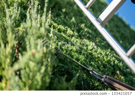 pruning, gents, male 133421057