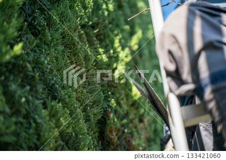 pruning, gents, male 133421060