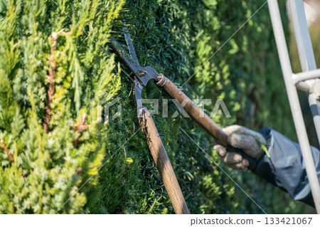 修剪 男人 男 133421067