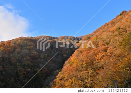 一座變成紅色葉子的山 一座變成紅色葉子的山 133421512
