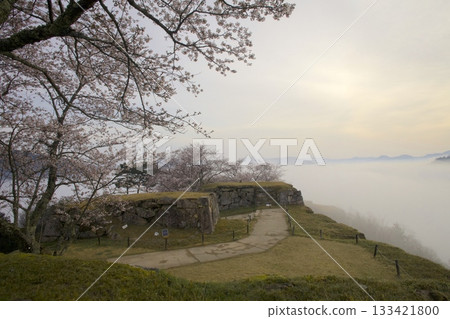 從武田城遺址眺望,晨曦灑在雲海和櫻花上,美不勝收。 從武田城遺址眺望,晨曦灑在雲海和櫻花上,美不勝收。 133421800