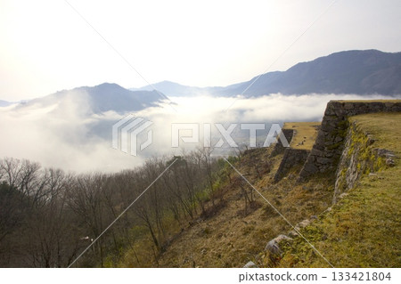 View of the sea of clouds and cherry blossoms bathed in the morning sun from the ruins of Takeda Castle View of the sea of clouds and cherry blossoms bathed in the morning sun from the ruins of Takeda Castle 133421804