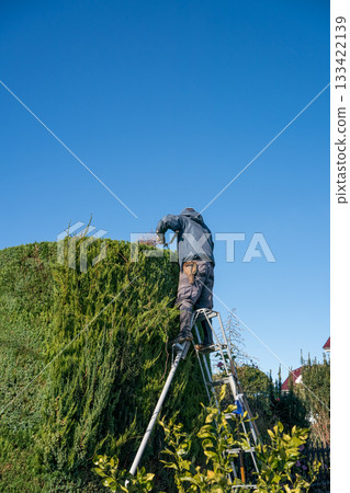 pruning, gents, male 133422139
