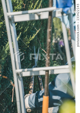 pruning, gents, male 133422143