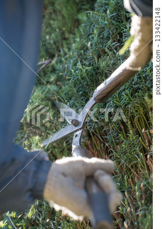 修剪 男人 男 133422148