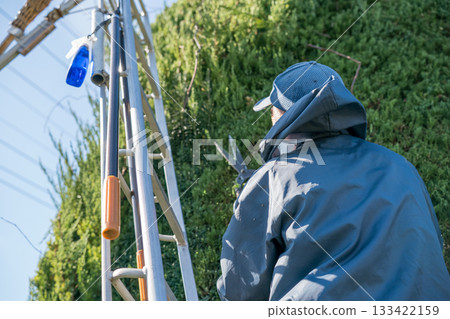 pruning, gents, male 133422159