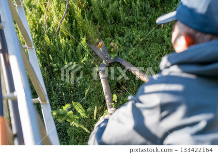 pruning, gents, male 133422164