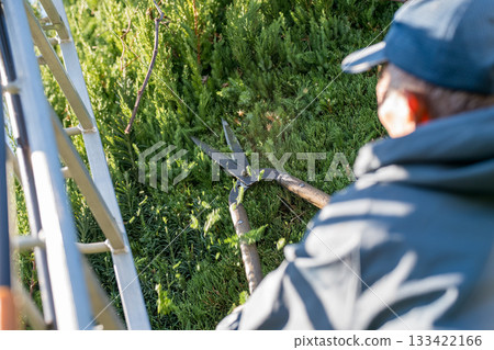 pruning, gents, male 133422166