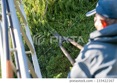 pruning, gents, male 133422167
