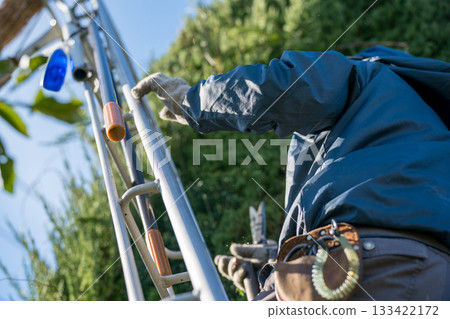 pruning, gents, male 133422172