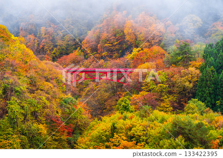 松川溪谷（秋季） 高山村 133422395