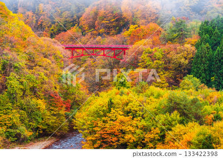 松川溪谷（秋季） 高山村 133422398