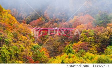 松川溪谷（秋季） 高山村 133422404