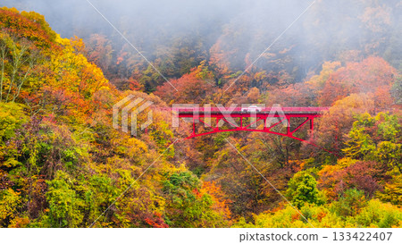 松川溪谷（秋季） 高山村 133422407