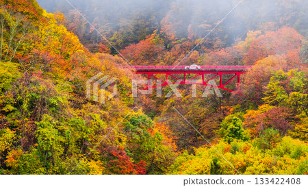 Matsukawa Valley (Autumn) Takayama Village 133422408