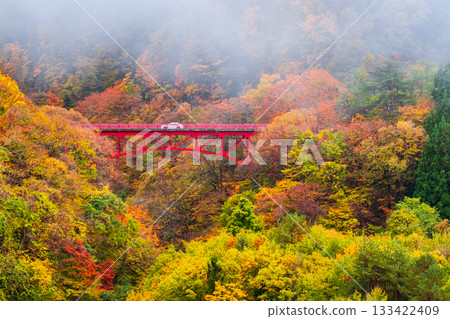 Matsukawa Valley (Autumn) Takayama Village 133422409