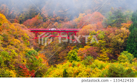 Matsukawa Valley (Autumn) Takayama Village 133422410