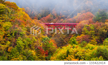 Matsukawa Valley (Autumn) Takayama Village 133422414