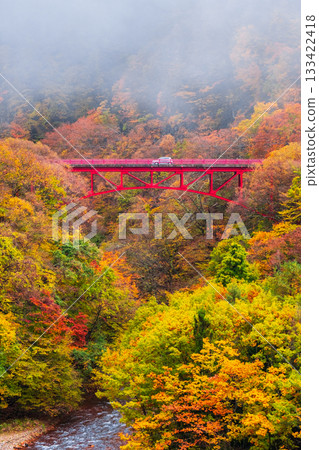 松川溪谷（秋季） 高山村 133422418