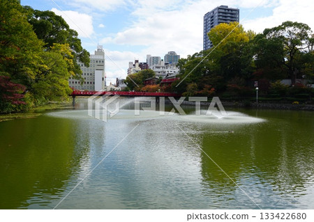 天王寺公園的茶須山 天王寺公園的茶須山 133422680