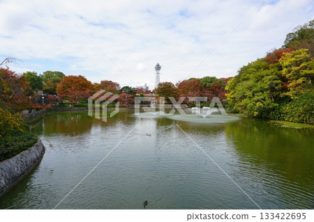 天王寺公園的茶須山 天王寺公園的茶須山 133422695