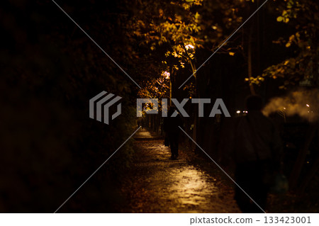 People stroll down a dimly lit pathway surrounded by trees, illuminated by soft street lights on a calm evening. 133423001