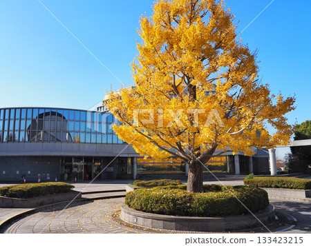 市原市立中央圖書館 133423215