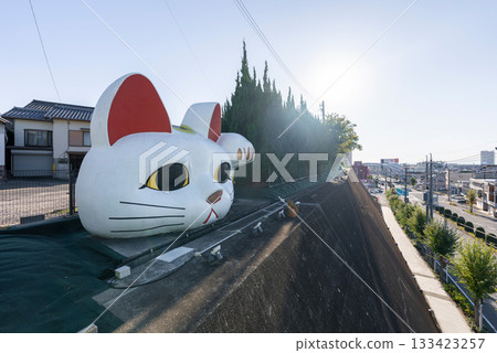 Tokoname's watchful cat, Tokonyan 133423257