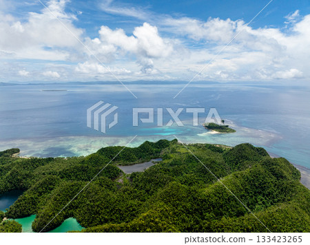 Verdant coastal hills stretch to the sea where a small tropical island lies surrounded by clear turquoise water and coral formations. Siargao, Philippines. Sugba Blue Lagoon. 133423265