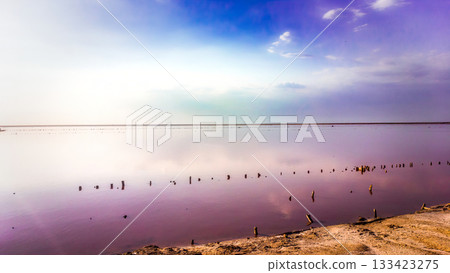 A surreal and tranquil pink salt lake with old wooden posts reflecting a vibrant purple sunset sky. 133423275