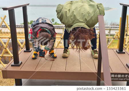 透過富岡城的縫隙窺視 133423361