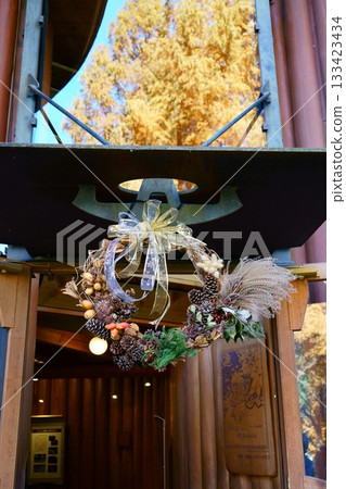 9490 托芙楊松曙光兒童森林公園 133423434