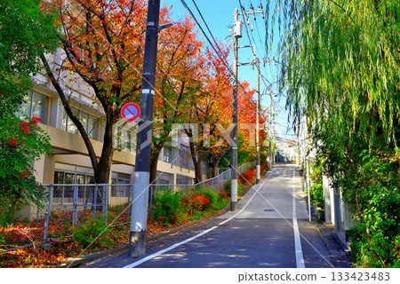 Around Yoyogi-Uehara Station: A luxurious residential area lined with cherry blossom trees in autumn colors Around Yoyogi-Uehara Station: A luxurious residential area lined with cherry blossom trees in autumn colors 133423483