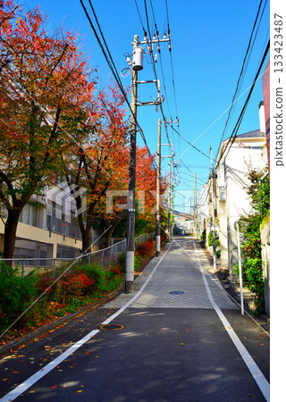 Around Yoyogi-Uehara Station: A luxurious residential area lined with cherry blossom trees in autumn colors Around Yoyogi-Uehara Station: A luxurious residential area lined with cherry blossom trees in autumn colors 133423487
