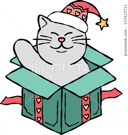 christmas Happy cat in a gift box wearing a Christmas hat. 133423711