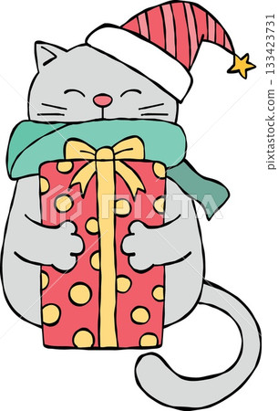 christmas Cute cat wearing a hat, holding a festive gift box. 133423731