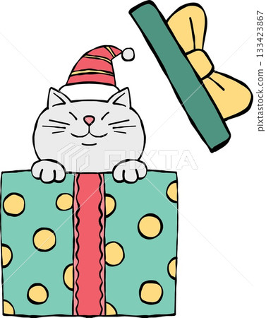 christmas A cat in a gift box wearing a Santa hat smiles happily. christmas A cat in a gift box wearing a Santa hat smiles happily. 133423867