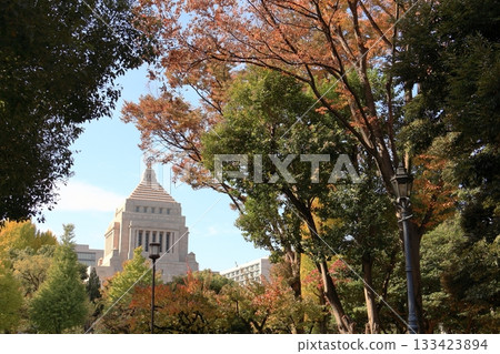 The National Diet Building and autumn leaves 133423894